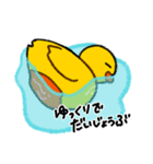 横向きアヒルの脱力スタンプ（個別スタンプ：24）