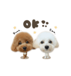 えまちゃん♡るなちゃんdeformation（個別スタンプ：1）