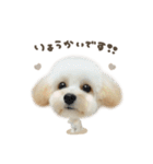 えまちゃん♡るなちゃんdeformation（個別スタンプ：2）