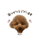 えまちゃん♡るなちゃんdeformation（個別スタンプ：6）
