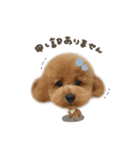 えまちゃん♡るなちゃんdeformation（個別スタンプ：7）