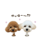 えまちゃん♡るなちゃんdeformation（個別スタンプ：12）