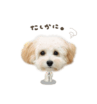 えまちゃん♡るなちゃんdeformation（個別スタンプ：25）