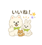 サモエドとうさぎのぬいぐるみ風スタンプ（個別スタンプ：21）
