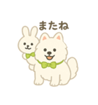 サモエドとうさぎのぬいぐるみ風スタンプ（個別スタンプ：22）