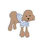 トイプードル大好きスタンプ（個別スタンプ：2）