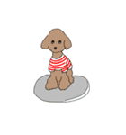 トイプードル大好きスタンプ（個別スタンプ：38）