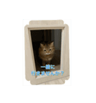 ミヌエットのみぃくん2（個別スタンプ：4）