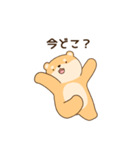 大好きな彼女(妻)に嫉妬する柴犬柄のクマ（個別スタンプ：6）