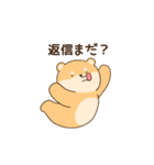 大好きな彼女(妻)に嫉妬する柴犬柄のクマ（個別スタンプ：16）