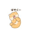 大好きな彼女(妻)に嫉妬する柴犬柄のクマ（個別スタンプ：17）