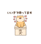 大好きな彼女(妻)に嫉妬する柴犬柄のクマ（個別スタンプ：21）