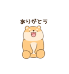 大好きな彼女(妻)に嫉妬する柴犬柄のクマ（個別スタンプ：27）