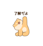 大好きな彼女(妻)に嫉妬する柴犬柄のクマ（個別スタンプ：28）