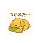 和菓子とアメコカ（個別スタンプ：2）
