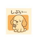 和菓子とアメコカ（個別スタンプ：20）