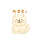 サモエド みるくねえさん（個別スタンプ：6）