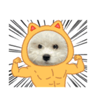 ビションもふお②（個別スタンプ：9）