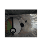 ビションもふお②（個別スタンプ：15）