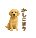 犬好きさん用ゴールデンレトリバースタンプ（個別スタンプ：4）