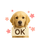 犬好きさん用ゴールデンレトリバースタンプ（個別スタンプ：7）