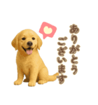 犬好きさん用ゴールデンレトリバースタンプ（個別スタンプ：9）