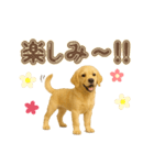 犬好きさん用ゴールデンレトリバースタンプ（個別スタンプ：26）