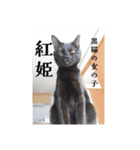 愛猫の日常スタンプ.（個別スタンプ：3）