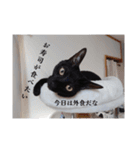 愛猫の日常スタンプ.（個別スタンプ：32）