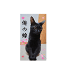 愛猫の日常スタンプ.（個別スタンプ：36）