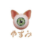 眼球猫耳ver.1.0（個別スタンプ：3）