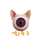 眼球猫耳ver.1.0（個別スタンプ：17）