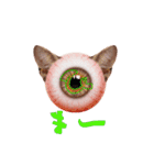 眼球猫耳ver.1.0（個別スタンプ：18）