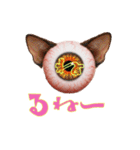 眼球猫耳ver.1.0（個別スタンプ：20）
