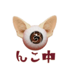 眼球猫耳ver.1.0（個別スタンプ：22）