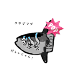 魚スタンプ第8弾リメイク（個別スタンプ：1）