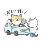 TNRで使えるかごねこスタンプ（個別スタンプ：1）
