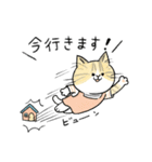 TNRで使えるかごねこスタンプ（個別スタンプ：2）