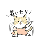 TNRで使えるかごねこスタンプ（個別スタンプ：3）