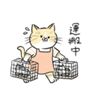 TNRで使えるかごねこスタンプ（個別スタンプ：4）
