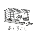 TNRで使えるかごねこスタンプ（個別スタンプ：13）