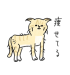 TNRで使えるかごねこスタンプ（個別スタンプ：20）