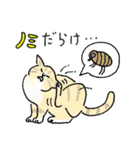 TNRで使えるかごねこスタンプ（個別スタンプ：21）
