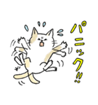 TNRで使えるかごねこスタンプ（個別スタンプ：23）