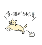 TNRで使えるかごねこスタンプ（個別スタンプ：24）