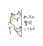 TNRで使えるかごねこスタンプ（個別スタンプ：25）