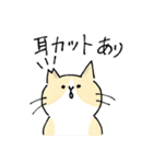 TNRで使えるかごねこスタンプ（個別スタンプ：29）