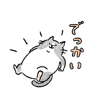 TNRで使えるかごねこスタンプ（個別スタンプ：32）