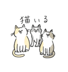 TNRで使えるかごねこスタンプ（個別スタンプ：35）