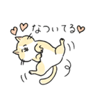 TNRで使えるかごねこスタンプ（個別スタンプ：38）